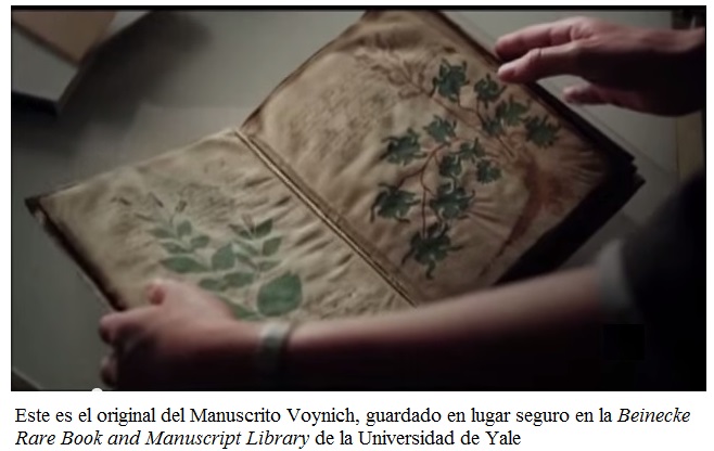 original manuscrito de voynich